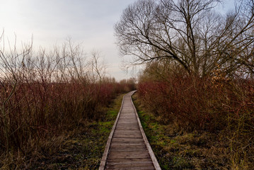 Wieże widokowe i kładki – Osowiec – Rzeka Biebrza - Podlasie - Polska © podlaski49