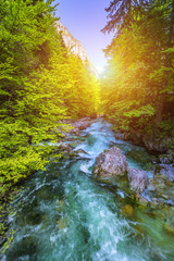 Beautiful colorful summer landscape with a stream and forest. The river in summer forest and the...