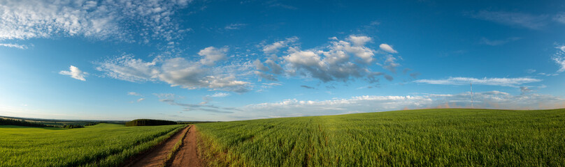 dirty road in summer green field