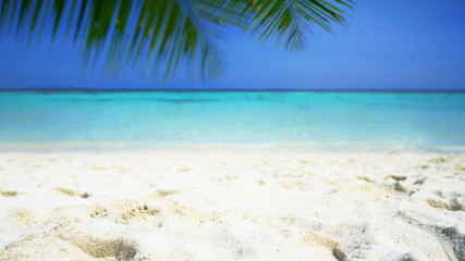 Fototapeta na wymiar Blurred nature summer tropical beach and palm leaves background, Defocused.