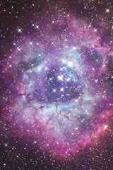 バラ星雲　Rosette Nebula