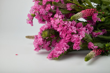 Pink flower blooming with water drops-close-up Photo details spring time. Valentine's day