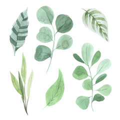 Watercolor green spring leaves set