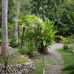 Spice and plant garden for tourists in Sri Lanka