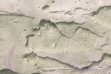 the contrasting texture of concrete