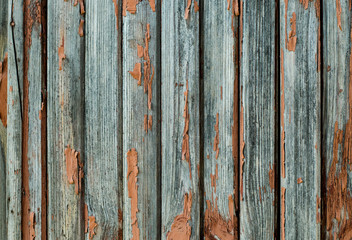 Old wooden door. Paint clambers from an old door. Tree structure