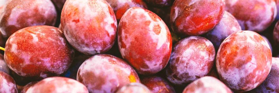 Banner of exotic summer diet. Tropical organic fruit. Plum delivery. Autumn harvest. Stock photo.