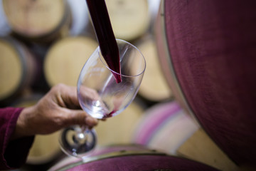 Close up image of a wine sample being collected by a wine maker in a cellar with old oak wine...