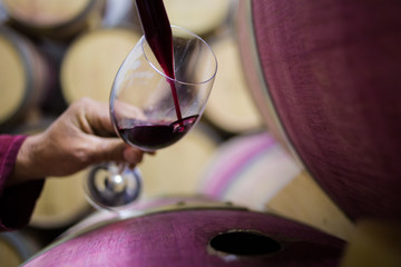 Close up image of a wine sample being collected by a wine maker in a cellar with old oak wine barrels
