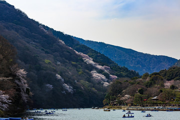 桜咲く早春の嵐山