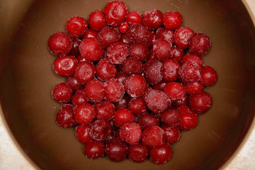 Frozen red currants with sprigs in a plate