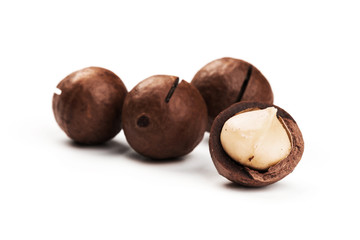 Raw not peeled whole macadamia nuts with shelled kernels isolated on white. Macro view. Healthy food. Protein source.