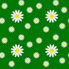 Seamless pattern with daisies on a green background. Flowers of different sizes. Printing on children's textiles. Summer flowers.Nice illustration.Floral print. Vector