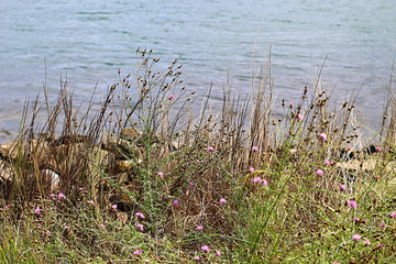 cape cod canal