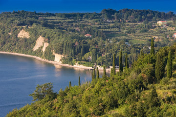 Overlooking the Adriatic coast near Portoroz, Istria, Adria Slovenia,