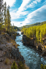 Yellowstone National Park - madison River, USA