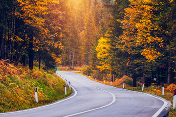View of winding road. Asphalt roads in the Italian Alps in South Tyrol, during autumn season. Autumn scene with curved road and yellow larches from both sides in alp forest. Dolomite Alps. Italy