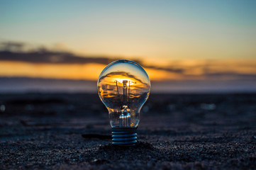 light bulb on the beach