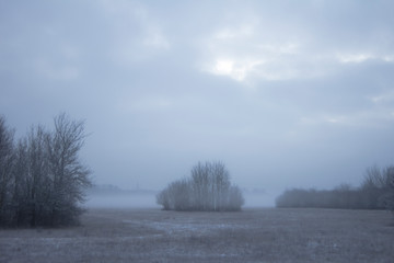 Naklejka na ściany i meble Morning mood on a meadow in the morning mist