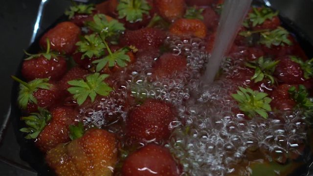 Washing strawberries in tap water jet.  