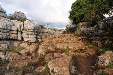 Fototapeta na wymiar View on rocks and rock formations in the beautiful karst landscape of El Torcal del Antequera, Spain, Europe