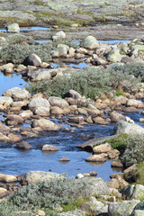 Beautiful tundra landscape with little rocks, tundra grass and tiny rivers on the Sognefjellsvegen, Norway, Europe