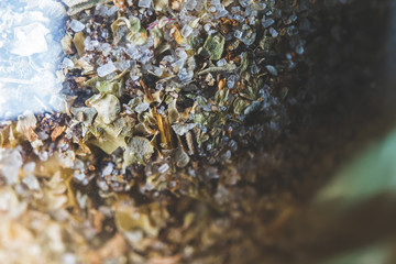 ミックスソルトのアップ