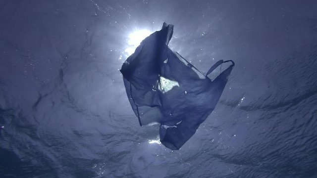 Slow Motion, Blue plastic bag slowly drifting underwater surface of water in the sun light. Plastic pollution of the ocean. Underwater shot, Low-angle shot, Contre-jour (backlighting).
