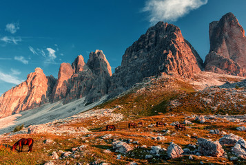 Beautiful alpine countryside. Awesome Alpine highlands in sunset. Amazing Nature Scenery of Dolomites Alps. Epic Scene in the mountains place in Tre cime di Lavaredo national park. Wonderful Landscape