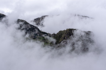 fog in the mountains