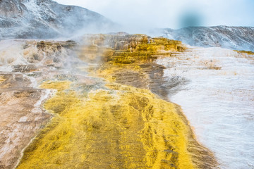 Minerva Terrace, Yellowstone National Park, Wyoming, USA