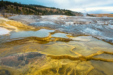 Minerva Terrace, Yellowstone National Park, Wyoming, USA