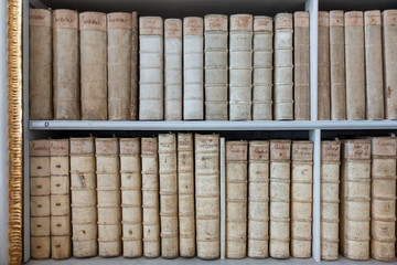 BÜCHERREGAL . BOOK SHELF