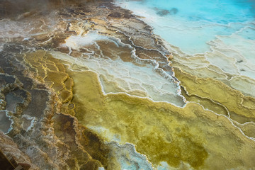 Minerva Terrace, Yellowstone National Park, Wyoming, USA