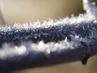 Zweige, boughs, winter, Eiskristalle, frost, makro