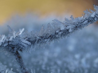 Zweig, bough, Eiskristalle, ice crystals, winter
