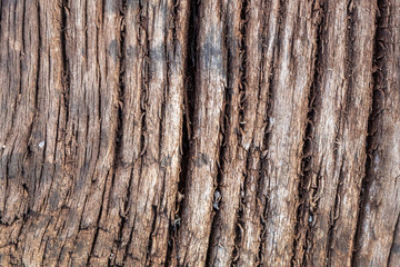 Obraz premium Old Weathered Cracked Wood Texture