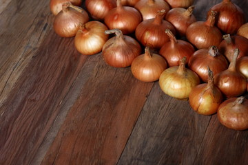 onions laid out in rows on a structural wooden background