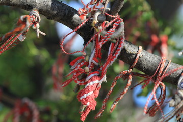 Czerwone wstążki na drzewie