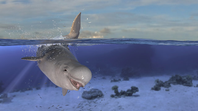 Horizontal View Of Beluga Whale Diving And Jumping While Half Is Underwater Deep Ocean 3d Rendering