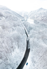 Snowy day in a white forest. In the image we can see a road in the middle of the white forest and a car parked next to it. 