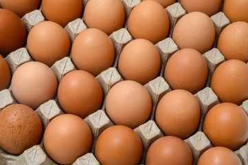 Eggs on paper egg tray close-up
