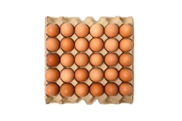 Eggs on paper egg tray isolated on white background, with clipping path