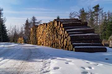 Holzstapel
