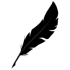 Fototapeta premium Feather pen icon. Vector illustration of a feather for calligraphy. Hand drawn feather pen logo.