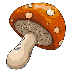 Mushroom icon. Vector of mushrooms. Hand drawn mushroom logo.