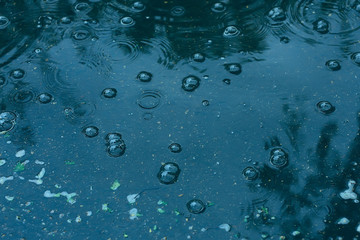 blue background puddle of rain / raindrops, circles on a puddle, bubbles in the water, the weather is autumn