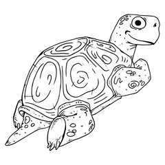 Turtle. Vector illustration of a sea turtle. Hand drawn cartoon tortoise.