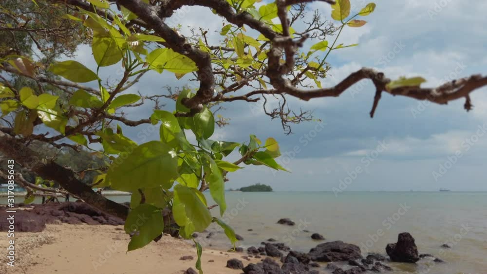 Wall mural Tropical beach footage under bright sunnt day and cloudy sky