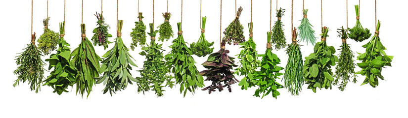 Kräuter, Kräuter...